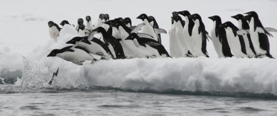 Migraciones a Debian GNU/Linux